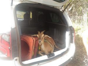 IMG-20180616-WA0067