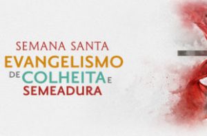banner-final-310x205